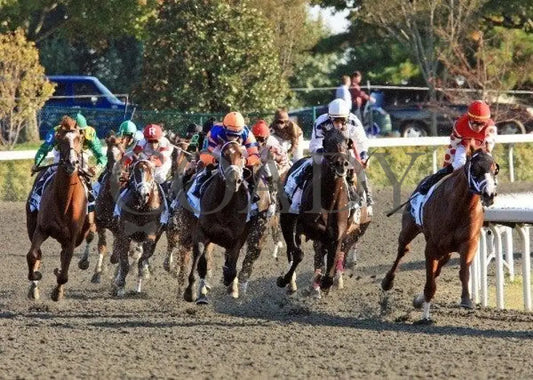 Dullahan - Turn 2 100811 Race 08 Keeneland