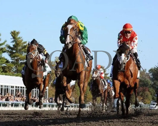 Dullahan - Under Rail 100811 Race 08 Keeneland