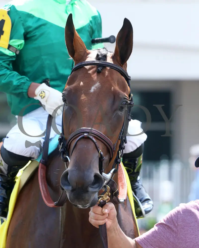 Dunbar Road - The Shawnee 1St Running 05-23-20 R07 Cd Paddock 02 Churchill Downs