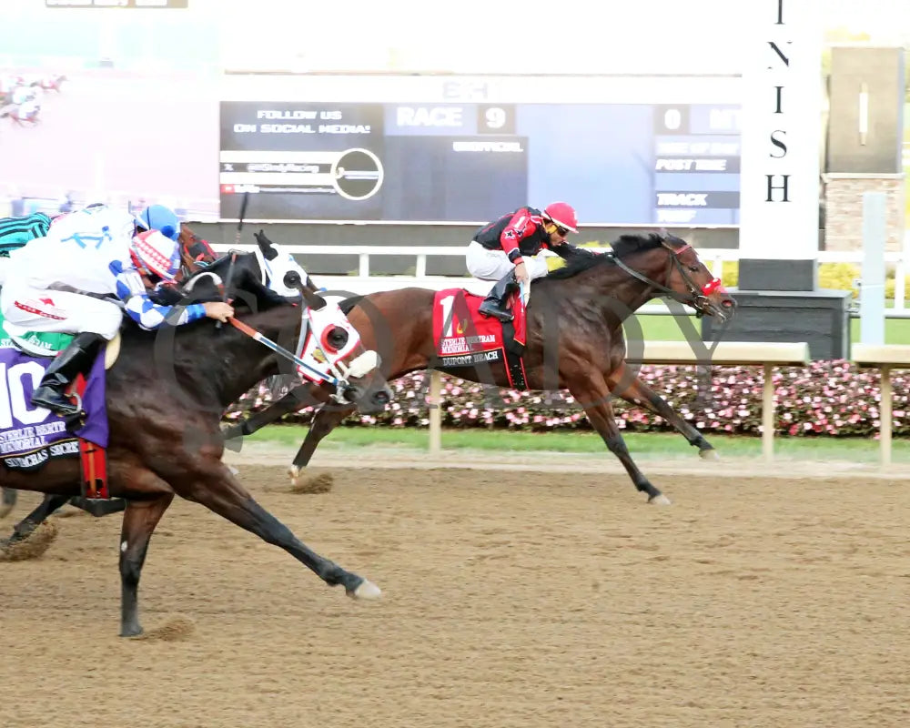 Dupont Beach - Sterlie Bertram Memorial Stakes Final 10-09-24 R09 Horseshoe Indiana Finish 01