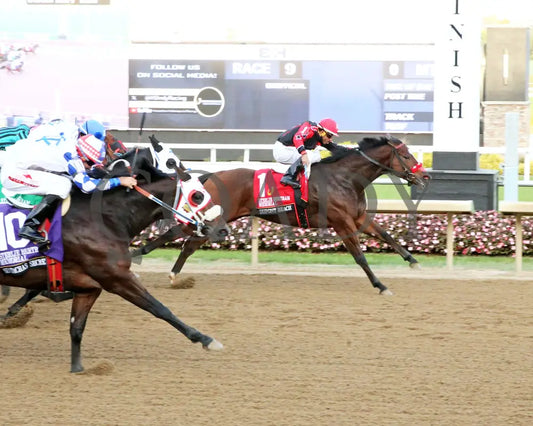 Dupont Beach - Sterlie Bertram Memorial Stakes Final 10-09-24 R09 Horseshoe Indiana Finish 01