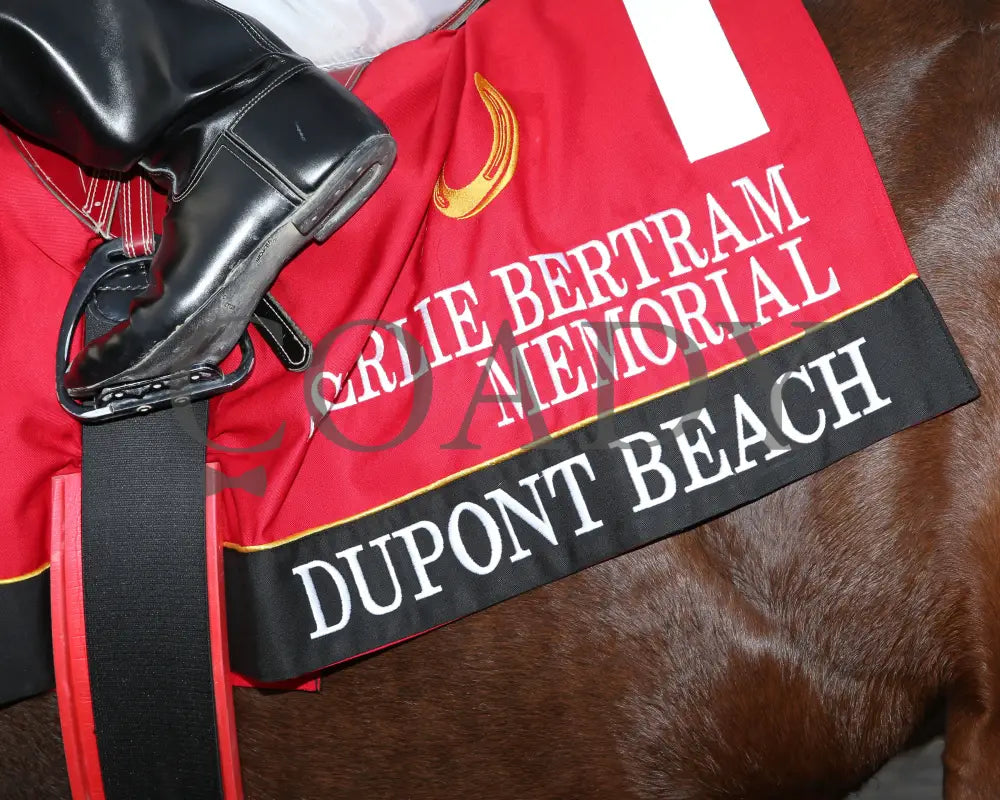Dupont Beach - Sterlie Bertram Memorial Stakes Final 10-09-24 R09 Horseshoe Indiana Saddle Towel 01