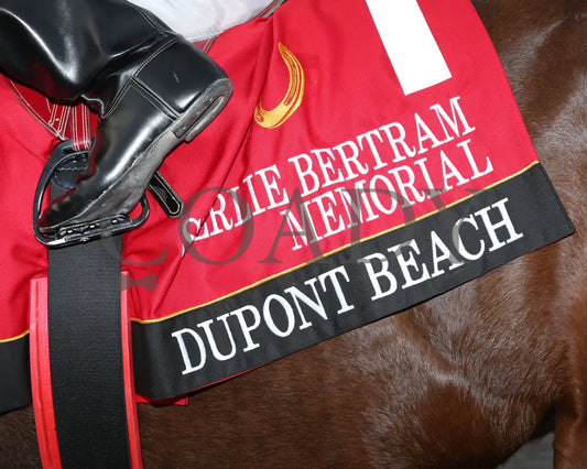 Dupont Beach - Sterlie Bertram Memorial Stakes Final 10-09-24 R09 Horseshoe Indiana Saddle Towel 01