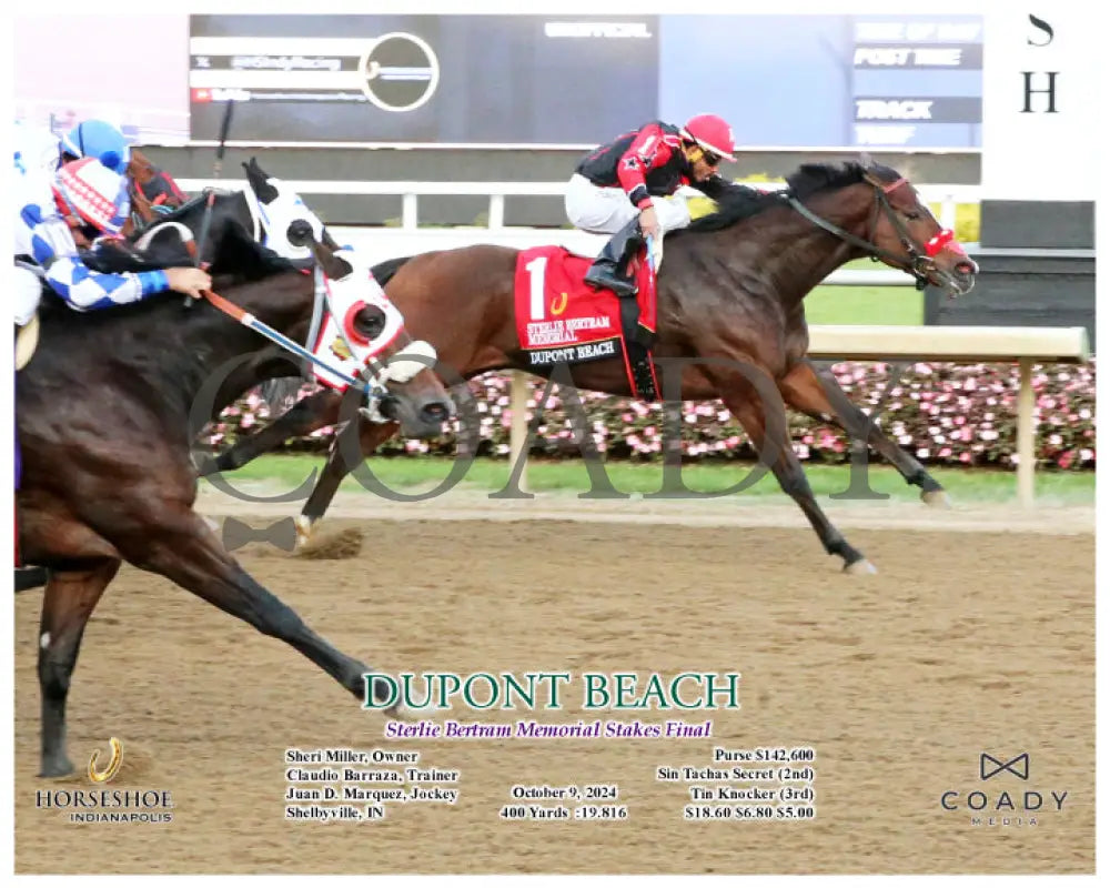 Dupont Beach - Sterlie Bertram Memorial Stakes Final 10-09-24 R09 Ind Action Indiana Grand