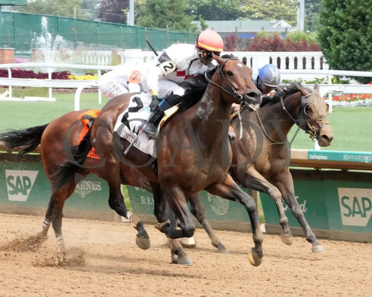 DURANTE - 053125 - Race 06 - CD The Aristides G3 - 37th Running - Finish 02 Churchill Downs