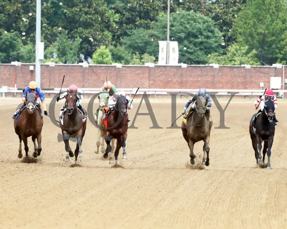 DURANTE - 053125 - Race 06 - CD The Aristides G3 - 37th Running - Head On 01 Churchill Downs