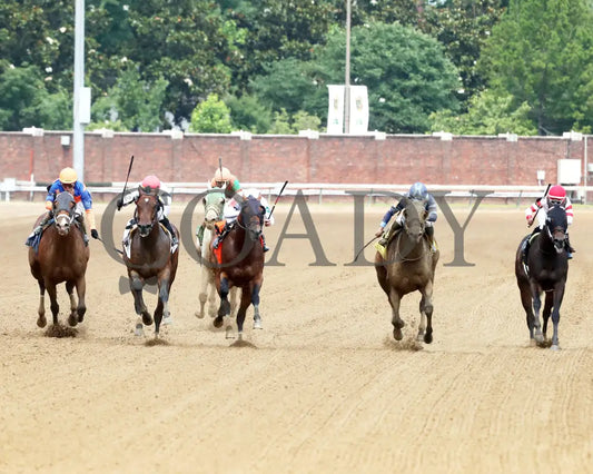 DURANTE - 053125 - Race 06 - CD The Aristides G3 - 37th Running - Head On 01 Churchill Downs