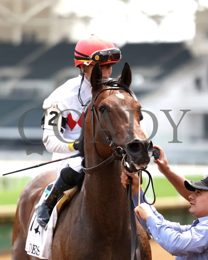 DURANTE - 053125 - Race 06 - CD The Aristides G3 - 37th Running - Head Shot Churchill Downs