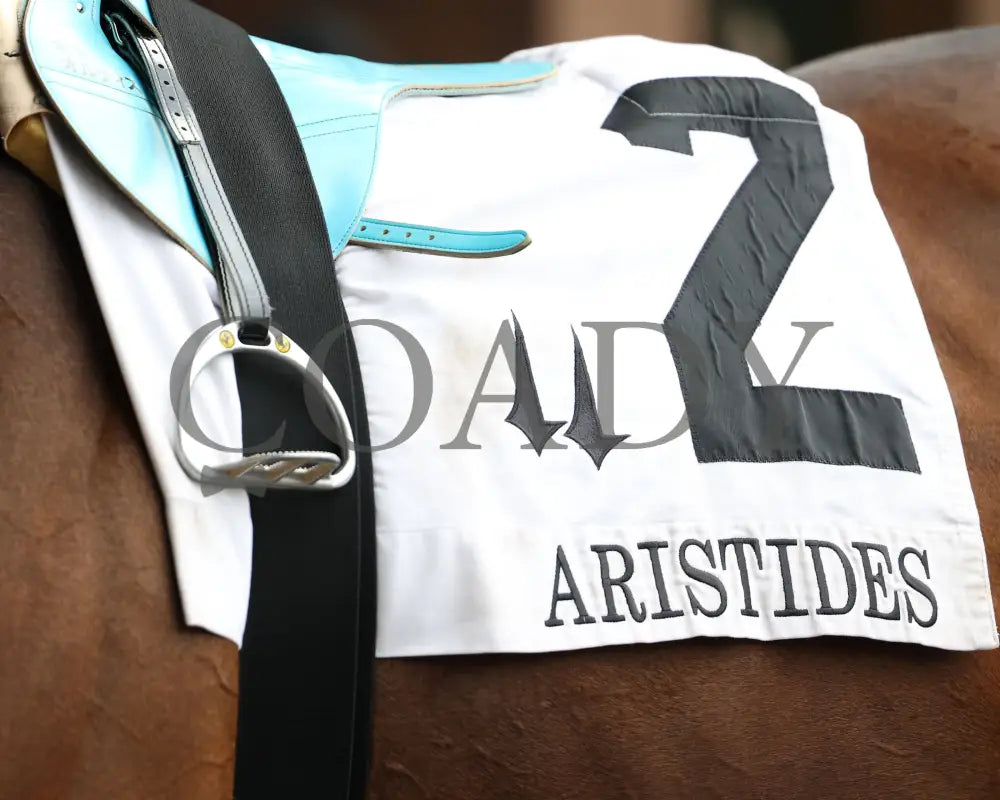 DURANTE - 053125 - Race 06 - CD The Aristides G3 - 37th Running - Saddle Towel 01 Churchill Downs