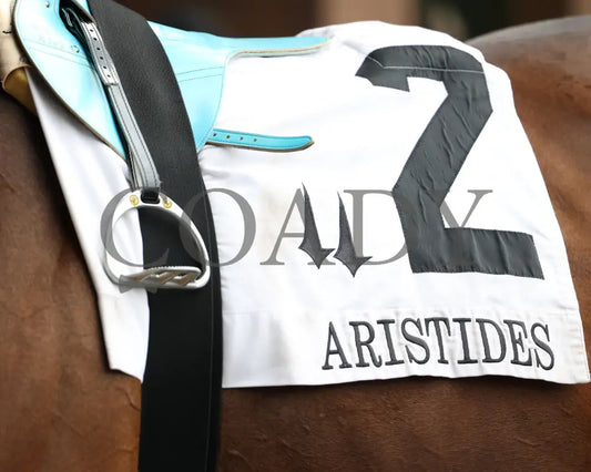 DURANTE - 053125 - Race 06 - CD The Aristides G3 - 37th Running - Saddle Towel 01 Churchill Downs