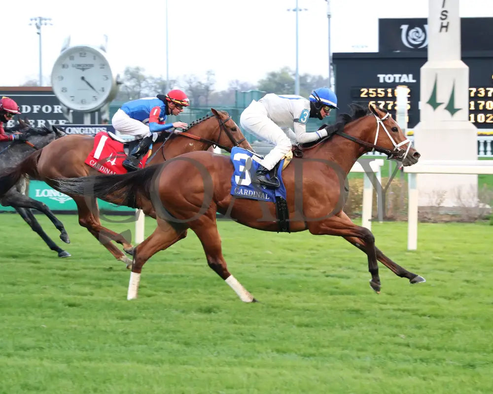 Duvet Day - The Cardinal G3 11-28-24 R11 Cd Finish 01 Churchill Downs