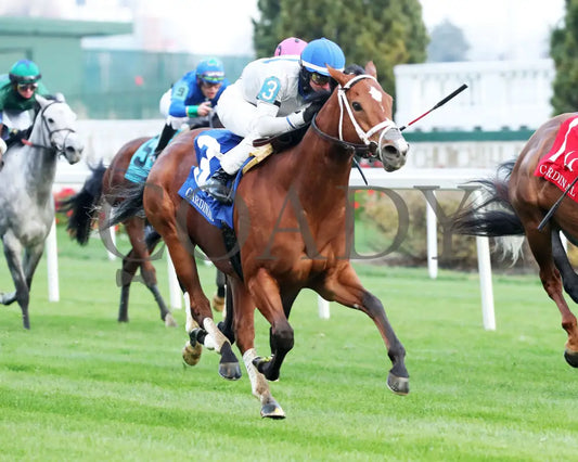 Duvet Day - The Cardinal G3 11-28-24 R11 Cd Finish 02 Churchill Downs