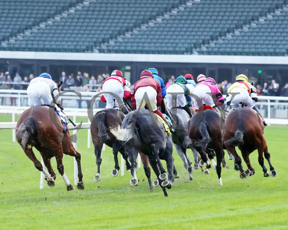 Duvet Day - The Cardinal G3 11-28-24 R11 Cd First Turn 01 Churchill Downs