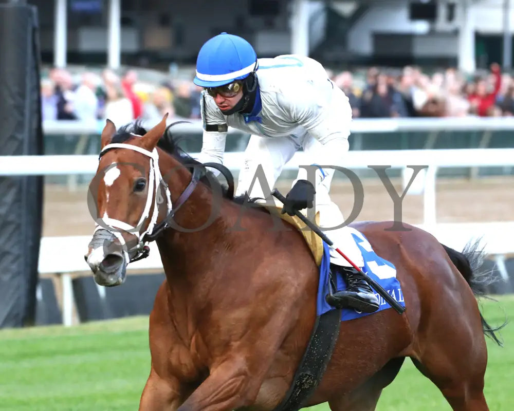 Duvet Day - The Cardinal G3 11-28-24 R11 Cd Inside Finish 01 Churchill Downs