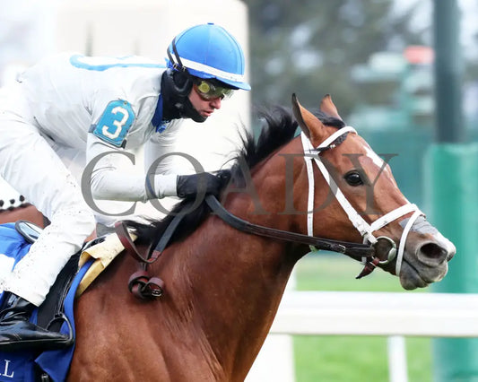 Duvet Day - The Cardinal G3 11-28-24 R11 Cd Tight Finish 02 Churchill Downs