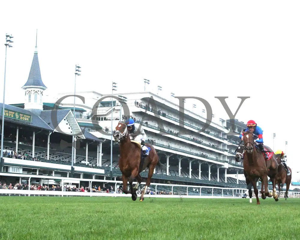 Duvet Day - The Cardinal G3 11-28-24 R11 Cd Under Rail 01 Churchill Downs