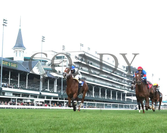 Duvet Day - The Cardinal G3 11-28-24 R11 Cd Under Rail 01 Churchill Downs