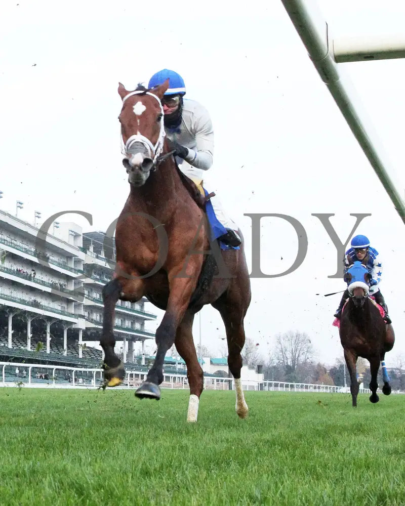 Duvet Day - The Cardinal G3 11-28-24 R11 Cd Under Rail First Pass 01 Churchill Downs