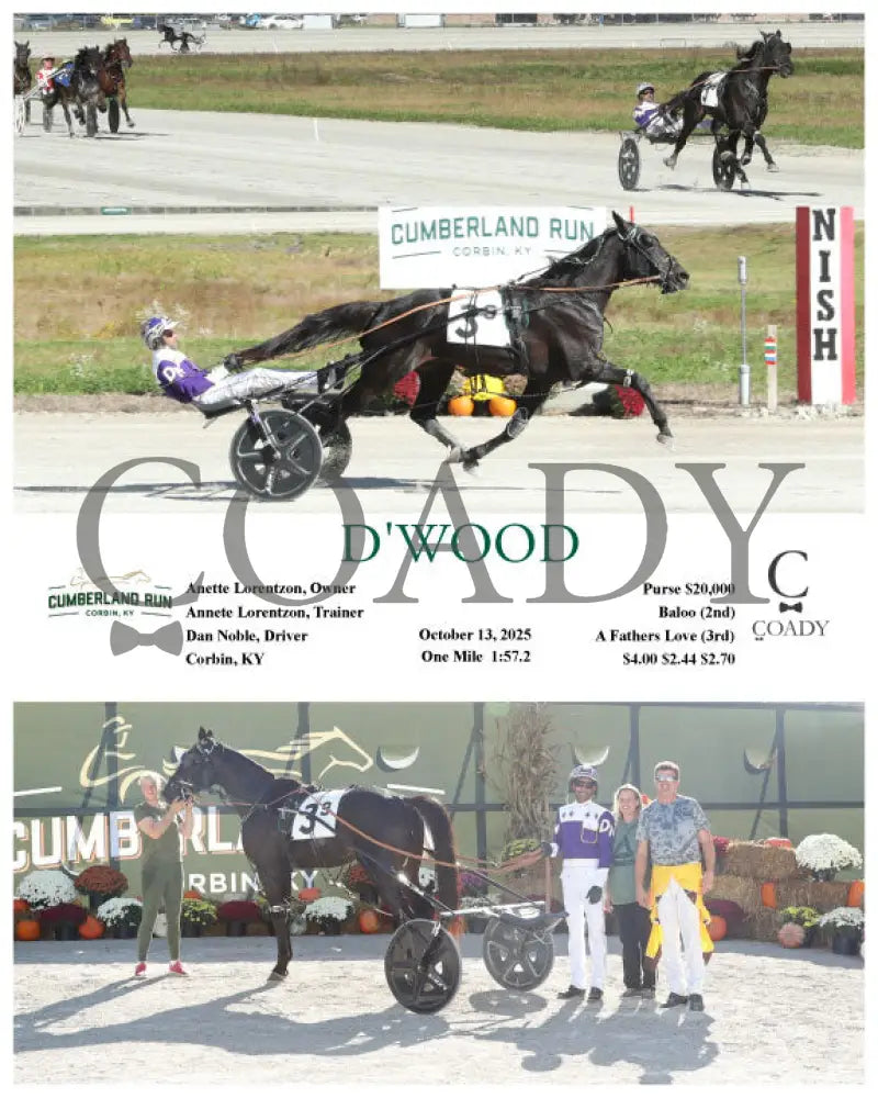 D’WOOD - 101325 - Race 09 - CMR Presque Isle Downs