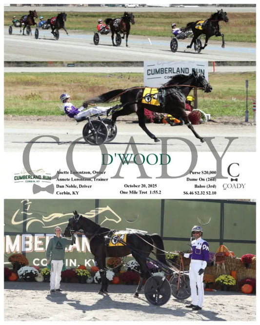 D’WOOD - 102025 - Race 04 - CMR Presque Isle Downs