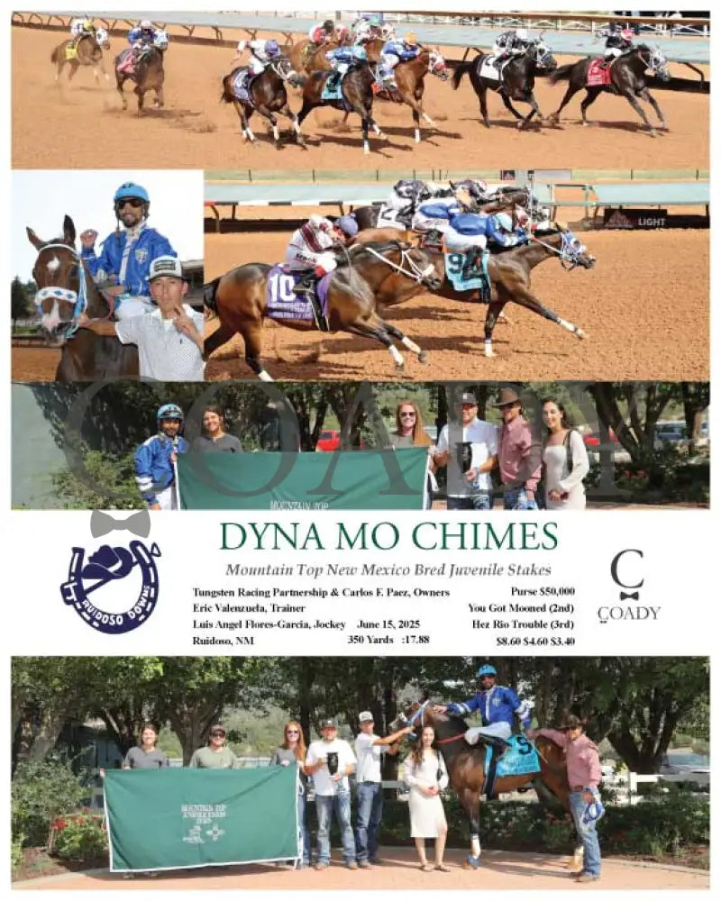 DYNA MO CHIMES - Mountain Top New Mexico Bred Juvenile Stakes - 06-15-25 - R09 - RUI Ruidoso Downs