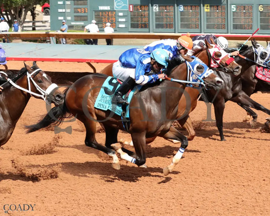 DYNA MO CHIMES - Mountain Top New Mexico Bred Juvenile Stakes - 06-15-25 - R09 - Ruidoso Downs - Finish - Mark Flanders