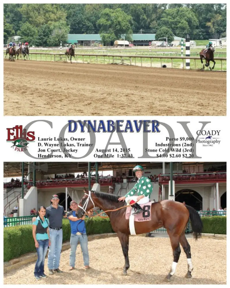 Dynabeaver - 081415 Race 02 Elp Ellis Park