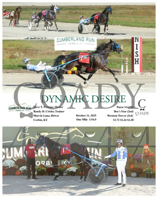 DYNAMIC DESIRE - 101125 - Race 11 - CMR Presque Isle Downs