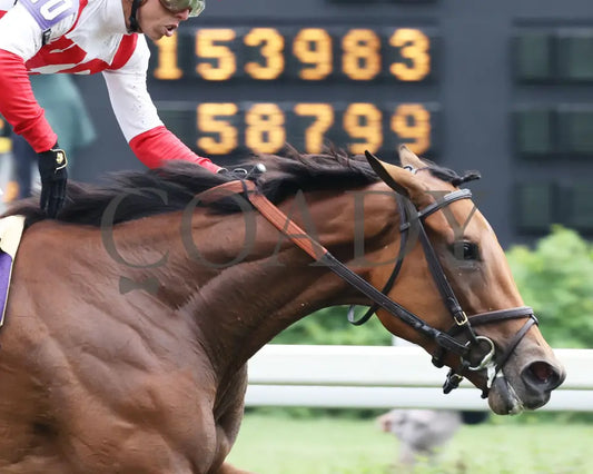 Dynamic Pricing - The Edgewood 05-03-24 R10 Churchill Downs Gallop Out 02 Renee Torbit