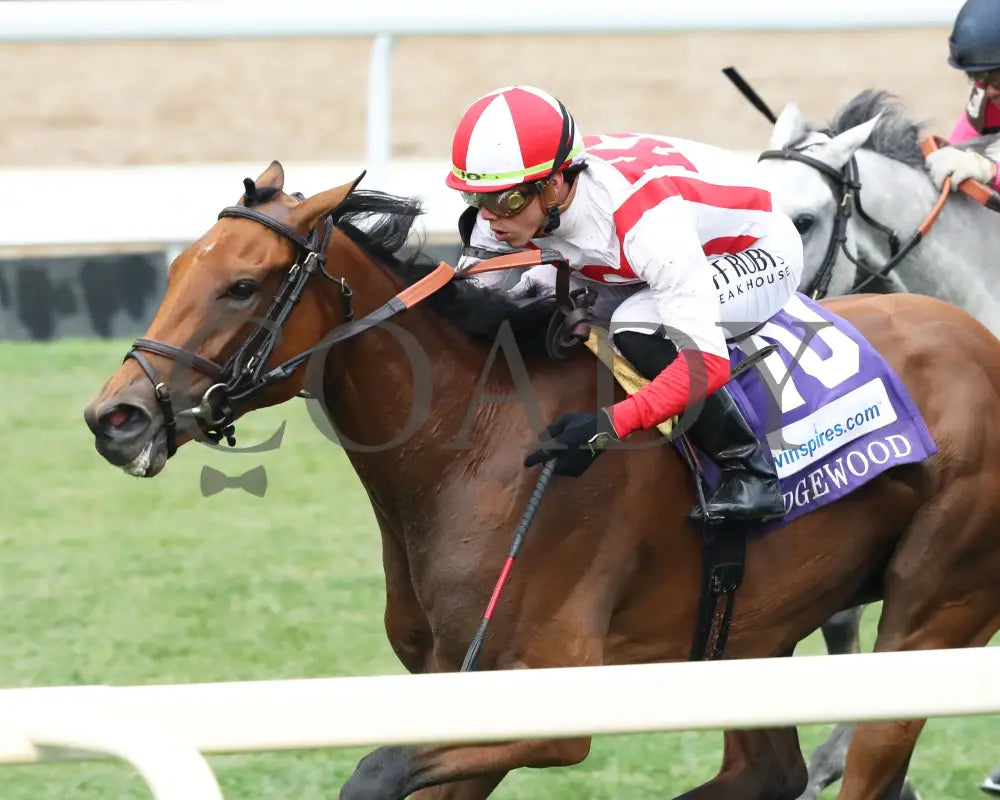 Dynamic Pricing - The Edgewood 05-03-24 R10 Churchill Downs Inside Finish 02 Jetta Vaughns