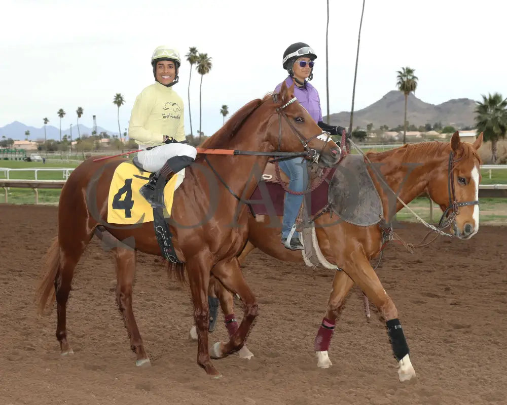 E J Won The Cup - Turf Paradise Derby 03 - 14 - 24 R07 Post Parade