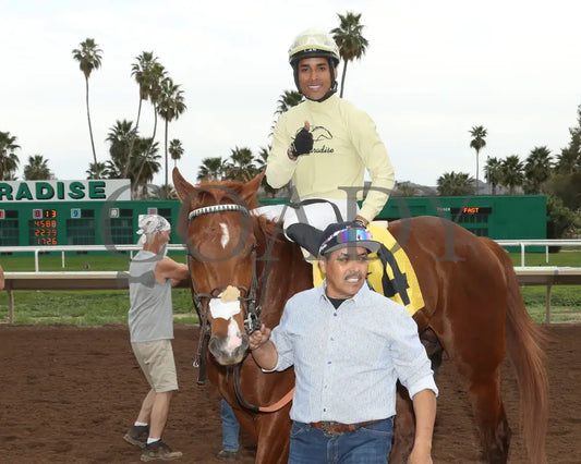E J Won The Cup - Turf Paradise Derby 03 - 14 - 24 R07 Return Shot 2