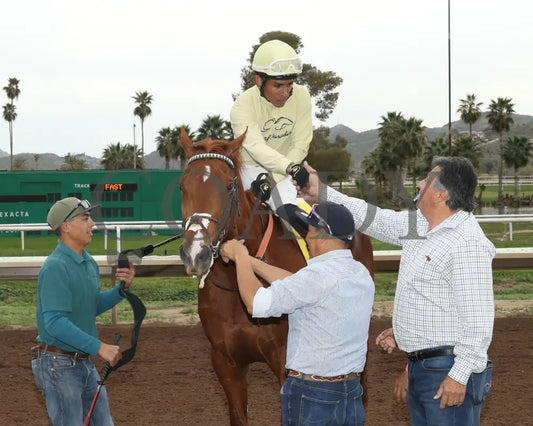 E J Won The Cup - Turf Paradise Derby 03 - 14 - 24 R07 Return Shot