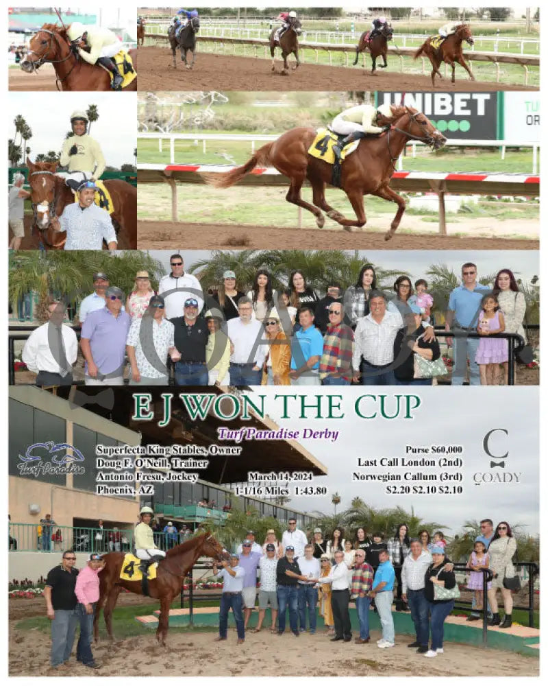 E J Won The Cup - Turf Paradise Derby 03 - 14 - 24 R07 Tup