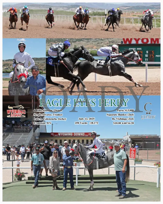 EAGLE EYES PERRY - 07-12-25 - R01 - WYO Wyoming Downs