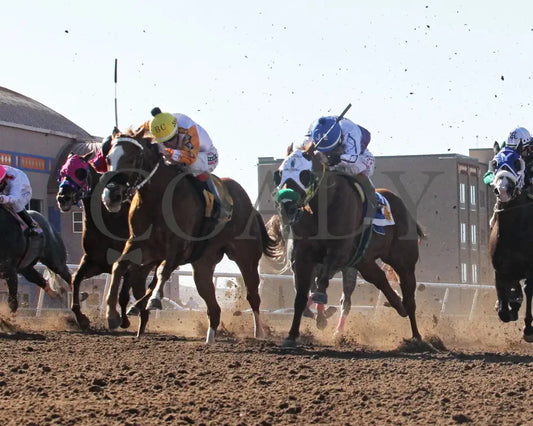 EASILY BELLA CSJ - Sunburst Stakes-14th Running G3 - 03-02-25 - R08 - Sunland Park - Under Rail4 Sunland Park