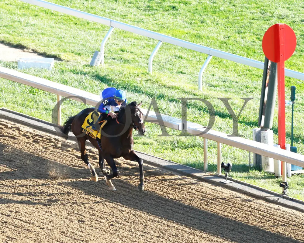 East Avenue - 100524 Race 09 Kee The Claiborne Breeders’ Futurity G1 Aerial Finish 01 Keeneland