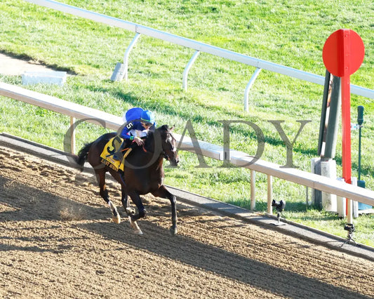 East Avenue - 100524 Race 09 Kee The Claiborne Breeders’ Futurity G1 Aerial Finish 01 Keeneland