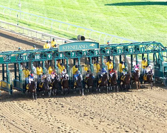 East Avenue - 100524 Race 09 Kee The Claiborne Breeders’ Futurity G1 Aerial Start 01 Keeneland