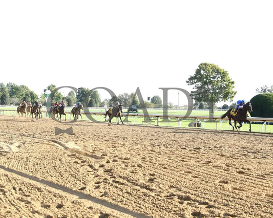 East Avenue - 100524 Race 09 Kee The Claiborne Breeders’ Futurity G1 Finish 02 Keeneland