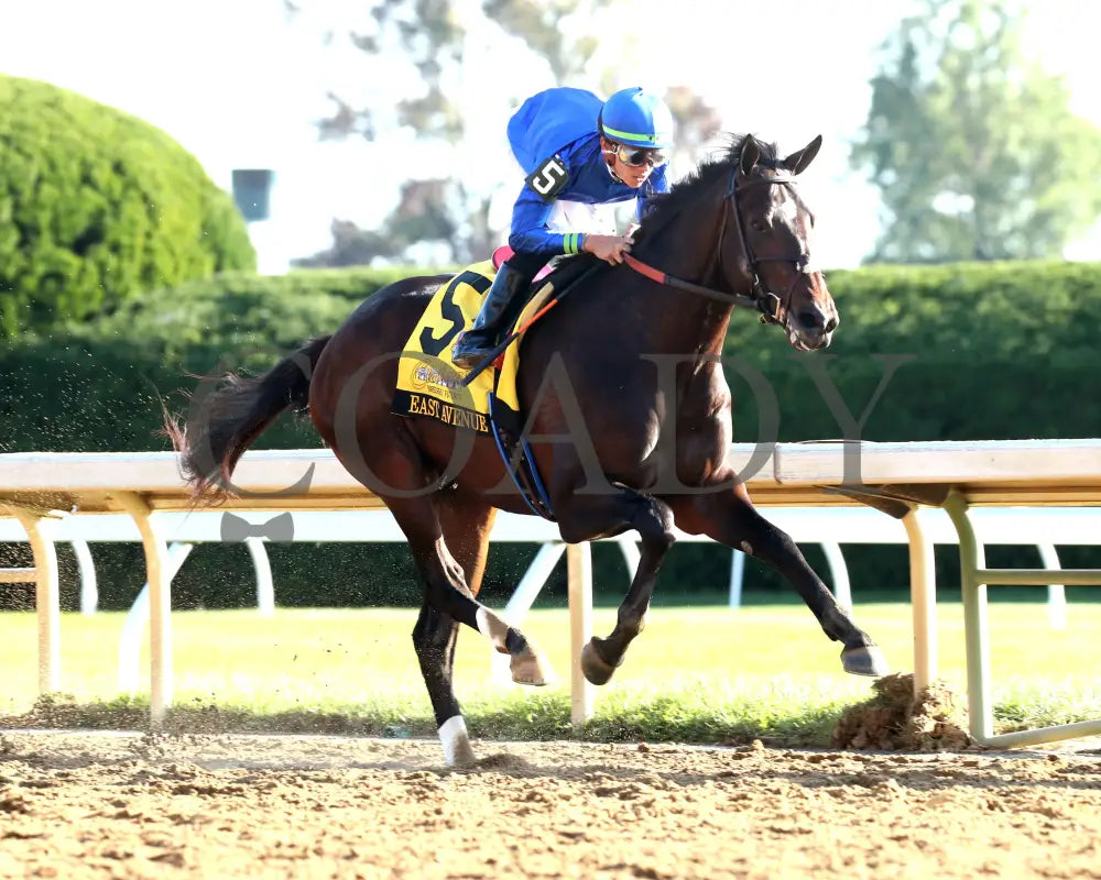 East Avenue - 100524 Race 09 Kee The Claiborne Breeders’ Futurity G1 Finish 03 Keeneland