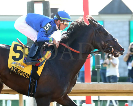 East Avenue - 100524 Race 09 Kee The Claiborne Breeders’ Futurity G1 Finish 04 Keeneland