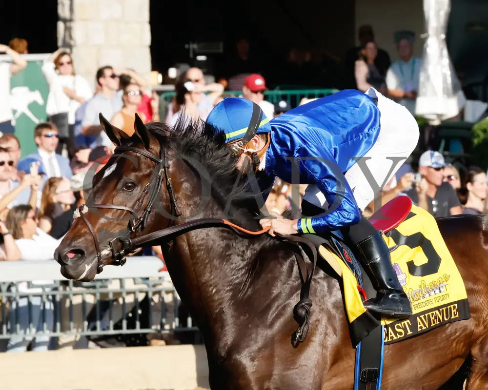 East Avenue - 100524 Race 09 Kee The Claiborne Breeders’ Futurity G1 Inside Finish 01 Keeneland