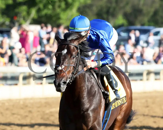 East Avenue - 100524 Race 09 Kee The Claiborne Breeders’ Futurity G1 Inside Finish 02 Keeneland