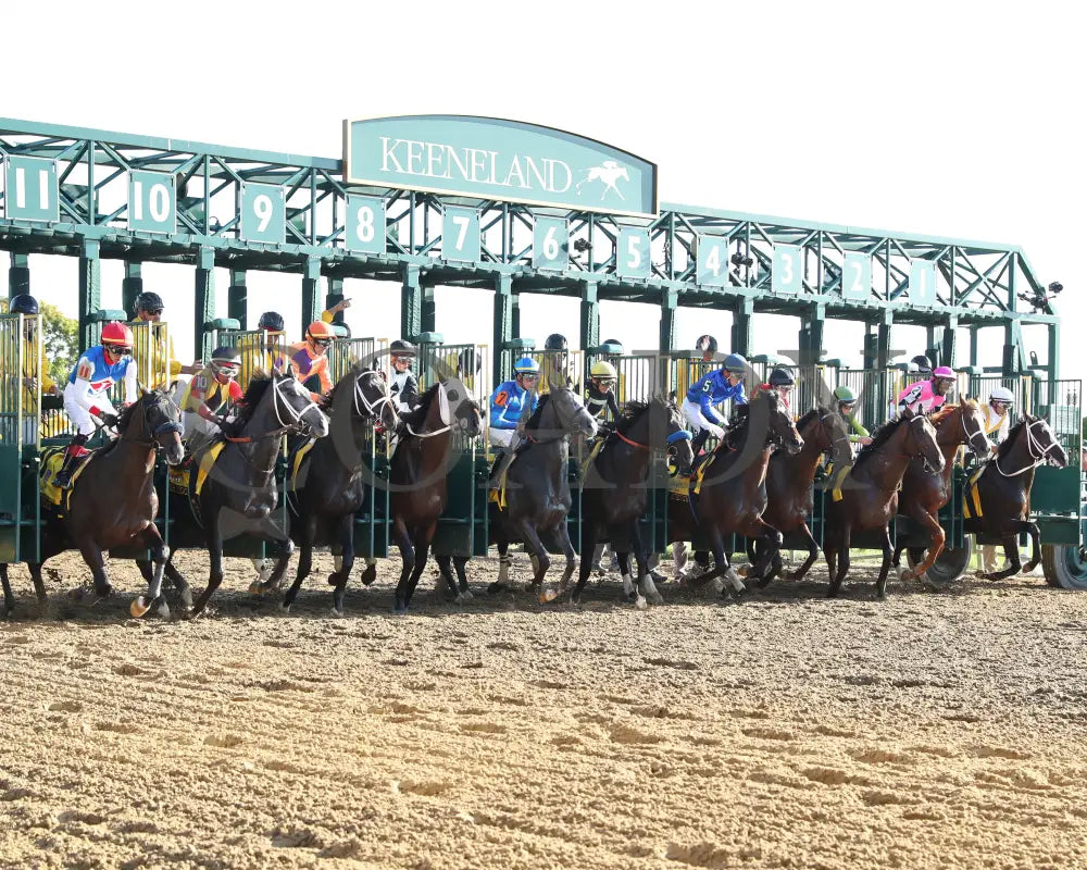 East Avenue - 100524 Race 09 Kee The Claiborne Breeders’ Futurity G1 Start 04 Keeneland