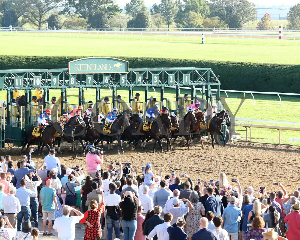 East Avenue - 100524 Race 09 Kee The Claiborne Breeders’ Futurity G1 Start 05 Keeneland