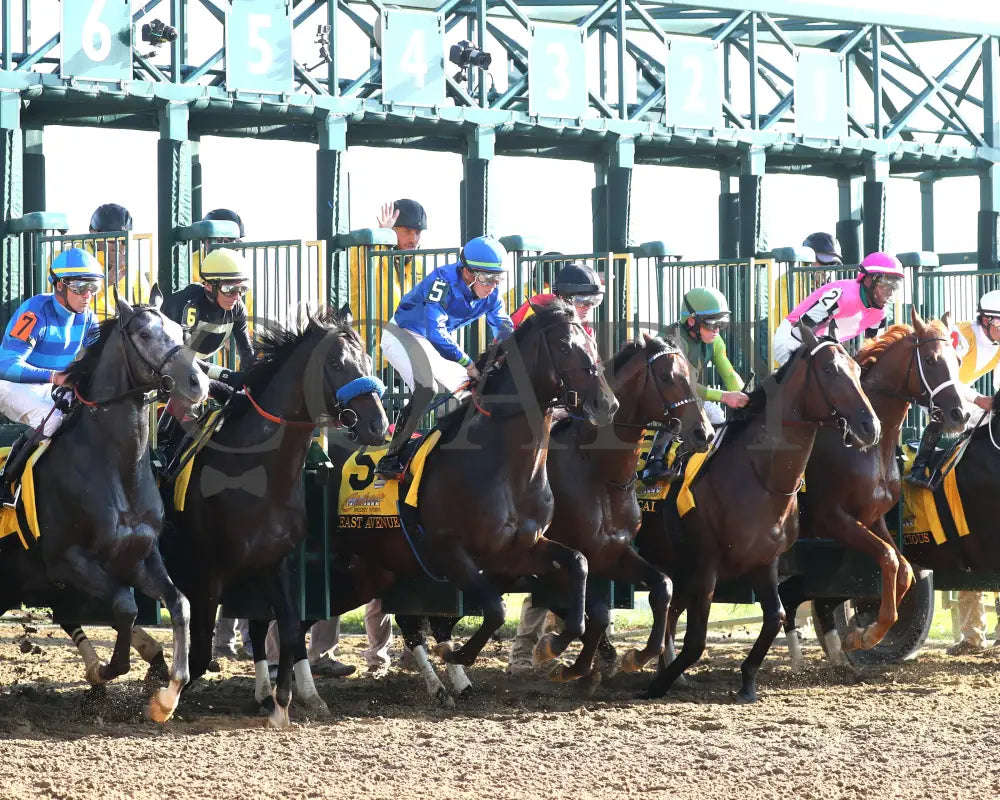 East Avenue - 100524 Race 09 Kee The Claiborne Breeders’ Futurity G1 Start 06 Keeneland
