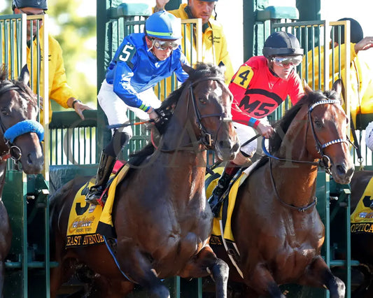 East Avenue - 100524 Race 09 Kee The Claiborne Breeders’ Futurity G1 Start 07 Keeneland