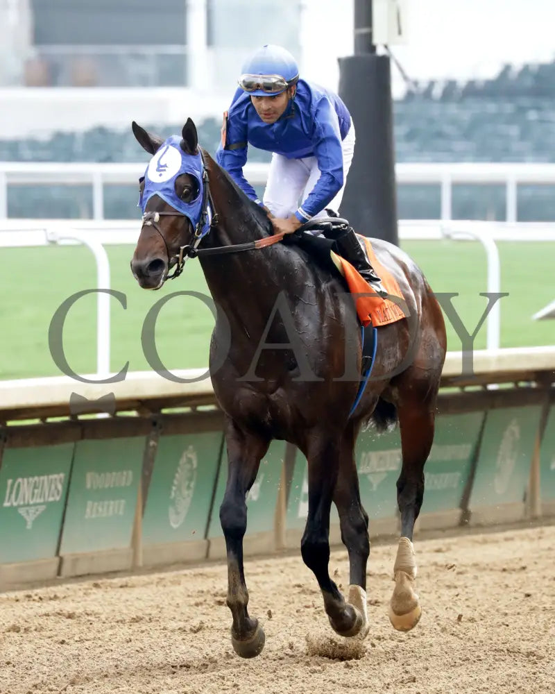 EAST AVENUE - The Matt Winn G3 - 28th Running - 06-08-25 - R08 - CD - Come Back 05 Churchill Downs