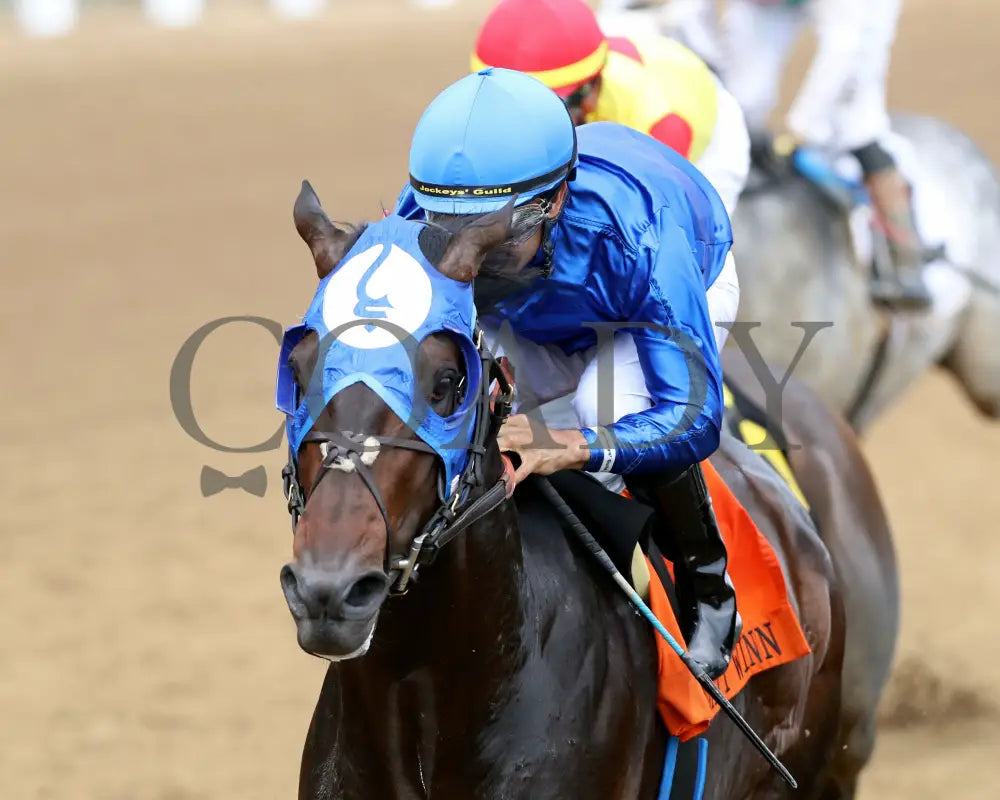 EAST AVENUE - The Matt Winn G3 - 28th Running - 06-08-25 - R08 - CD - Inside Finish 01 Churchill Downs